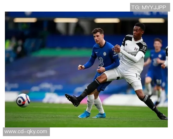 富勒姆与布伦特的比赛因天气原因延期球迷期待新赛程安排